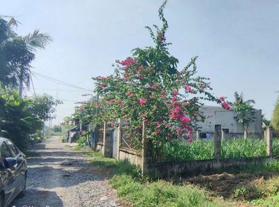 Đất 312 m² · 1/ Hồ Chí Minh