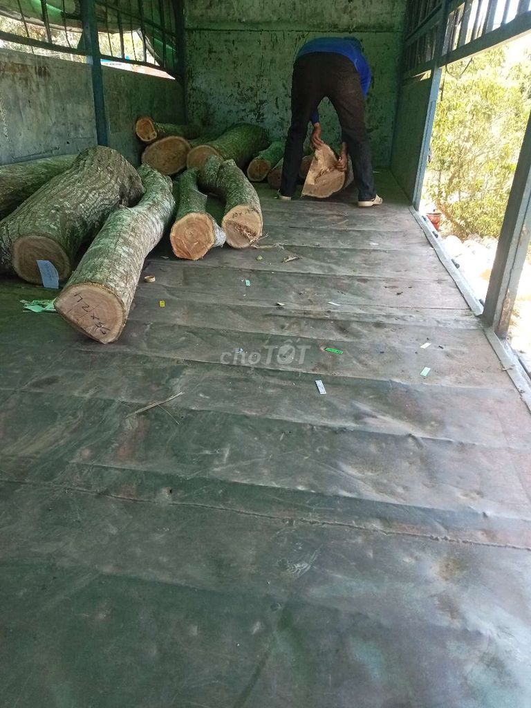 Ảnh số 5