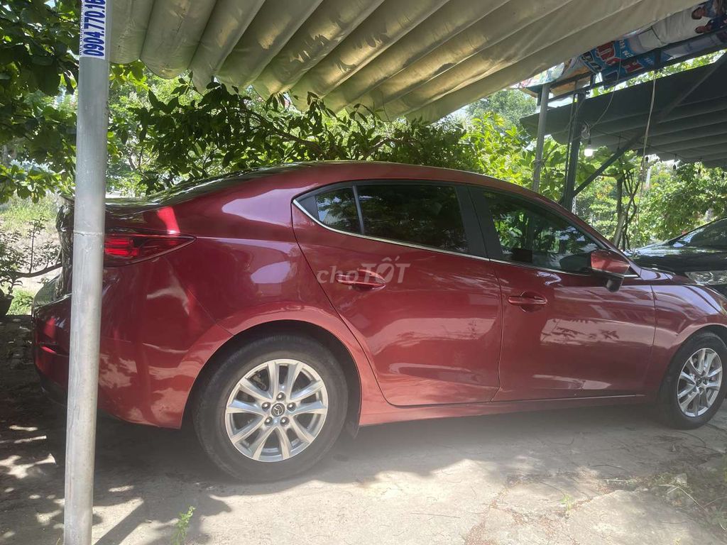 Ảnh số 7