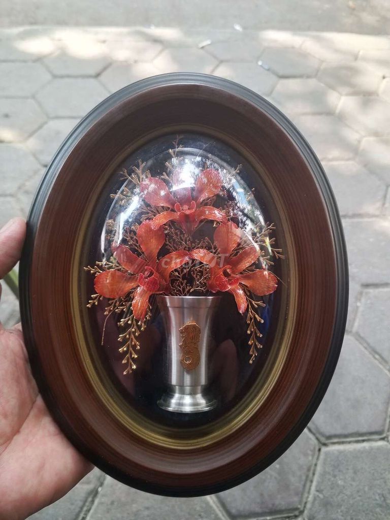 Tranh hoa khô Natures Creations. Mua bán Đồ sưu tầm, đồ cổ tại Quận Hà Đông Hà Nội được đăng bởi Đồ cũ sưu tầm hà nội hình 1