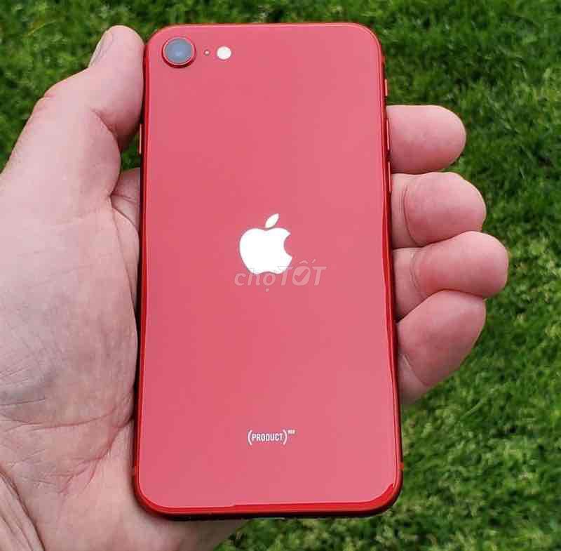 Apple iPhone SE 2020 Đỏ. Mua bán Điện thoại tại Thành phố Quảng Ngãi Quảng Ngãi được đăng bởi lê a hình 1