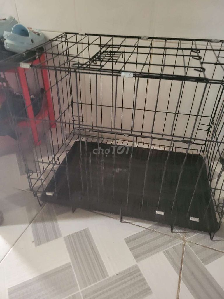 Chuồng và tông đơ cắt cho chó. Mua bán Phụ kiện, Thức ăn, Dịch vụ tại Quận Gò Vấp Tp Hồ Chí Minh được đăng bởi Sang Nguyễn hình 4