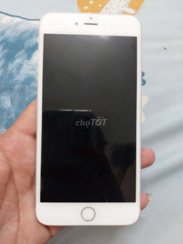Apple iPhone 6s Plus Bạc Đã sử dụng. Mua bán Điện thoại tại Quận Bình Thuỷ Cần Thơ được đăng bởi Luffy hình 1