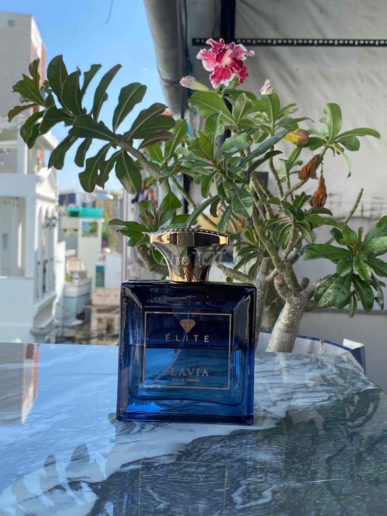 FLAVIA ELITE ( No box ). Mua bán Nước hoa tại Quận Phú Nhuận Tp Hồ Chí Minh được đăng bởi Thiện Dân hình 1