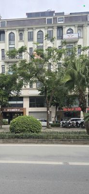 Cho thuê biệt thự 91m2, gần 700m2 sàn tại TT2-3 Khu C Him Lam Vạn Phúc