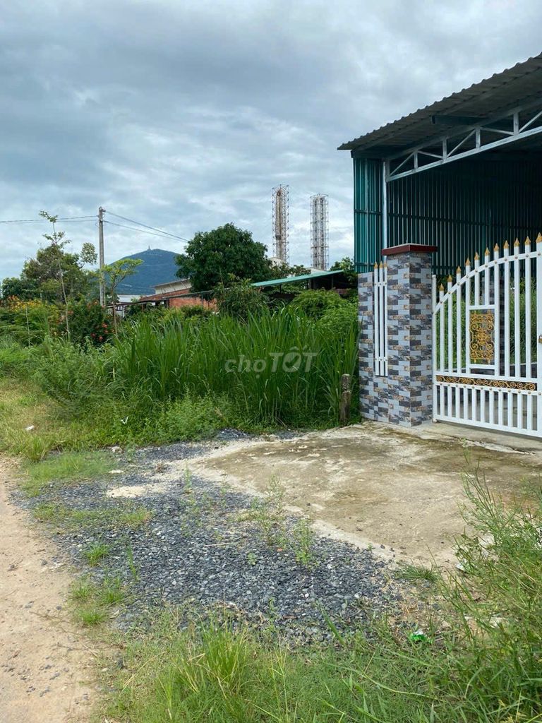 CẦN BÁN GẤP LÔ ĐẤT Ở THẠNH TÂN, TÂY NINH