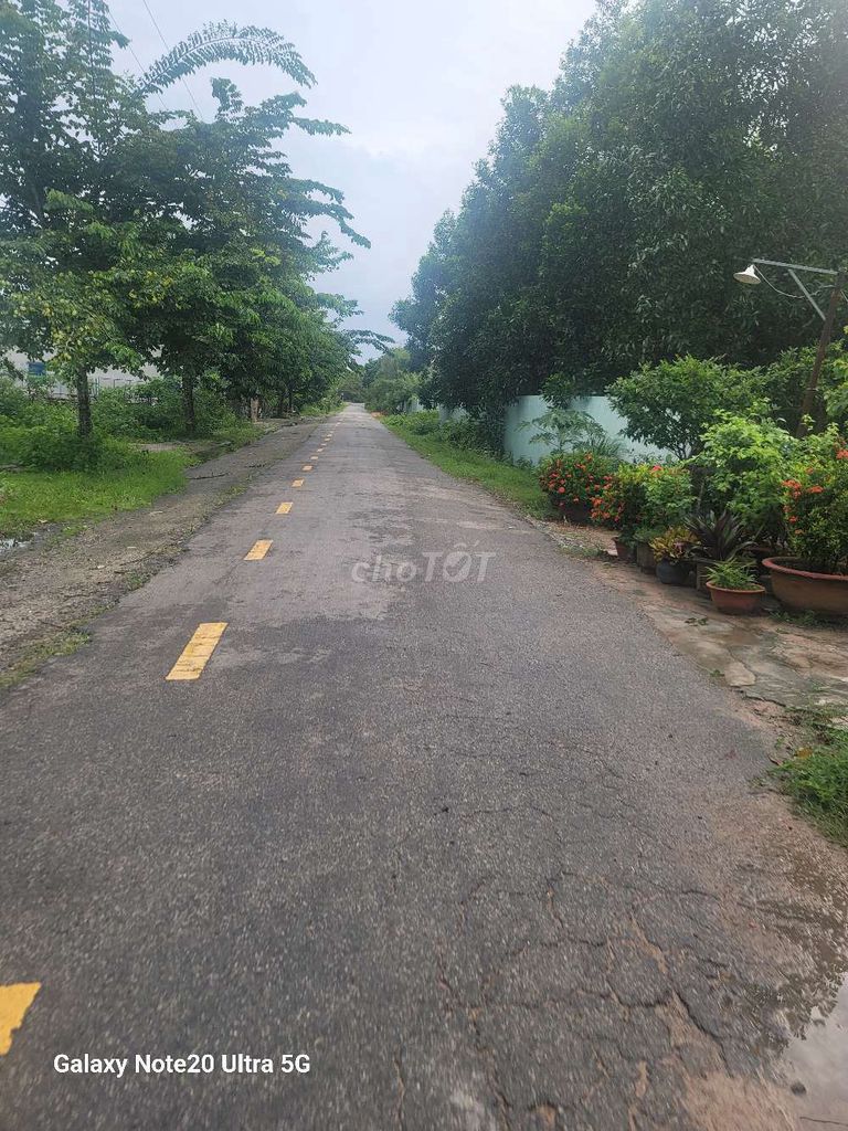 bán đất 2mt đg nhựa tóc tiên,phú mỹ tặng nhà cấp 4, dt:12x68 giá 2.3ty