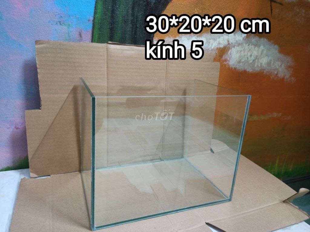 bể kích thước 30x20x20 . Mua bán Phụ kiện, Thức ăn, Dịch vụ tại Quận Thanh Xuân Hà Nội được đăng bởi alo tớ nè hình 1