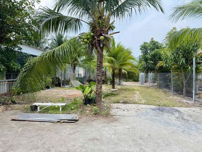 BÁN LÔ PHÚ THẠNH, VĨNH THẠNH, NHA TRANG. Mua bán đất tại Thành phố Nha Trang Khánh Hòa được đăng bởi Quìn Kool