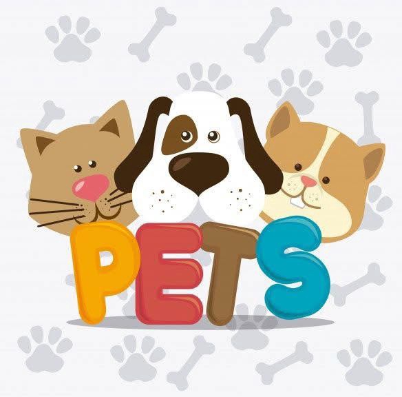 Moon Pets🥰 tại Huyện Thống Nhất, Đồng Nai hình 1