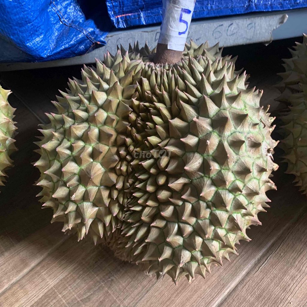 Sầu riêng Monthong Thái. Mua bán Đồ ăn, thực phẩm và các loại khác tại Huyện Bình Chánh Tp Hồ Chí Minh được đăng bởi Trần Yến Nhi hình 1
