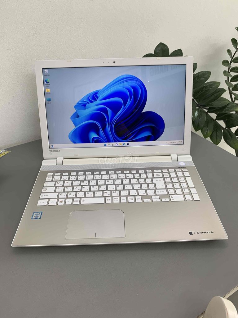 Toshiba T75 i7-6500U 8GB/128GB Trắng, Nguyên Bản. Mua bán Laptop tại Quận Cầu Giấy Hà Nội được đăng bởi An Nhiên hình 1