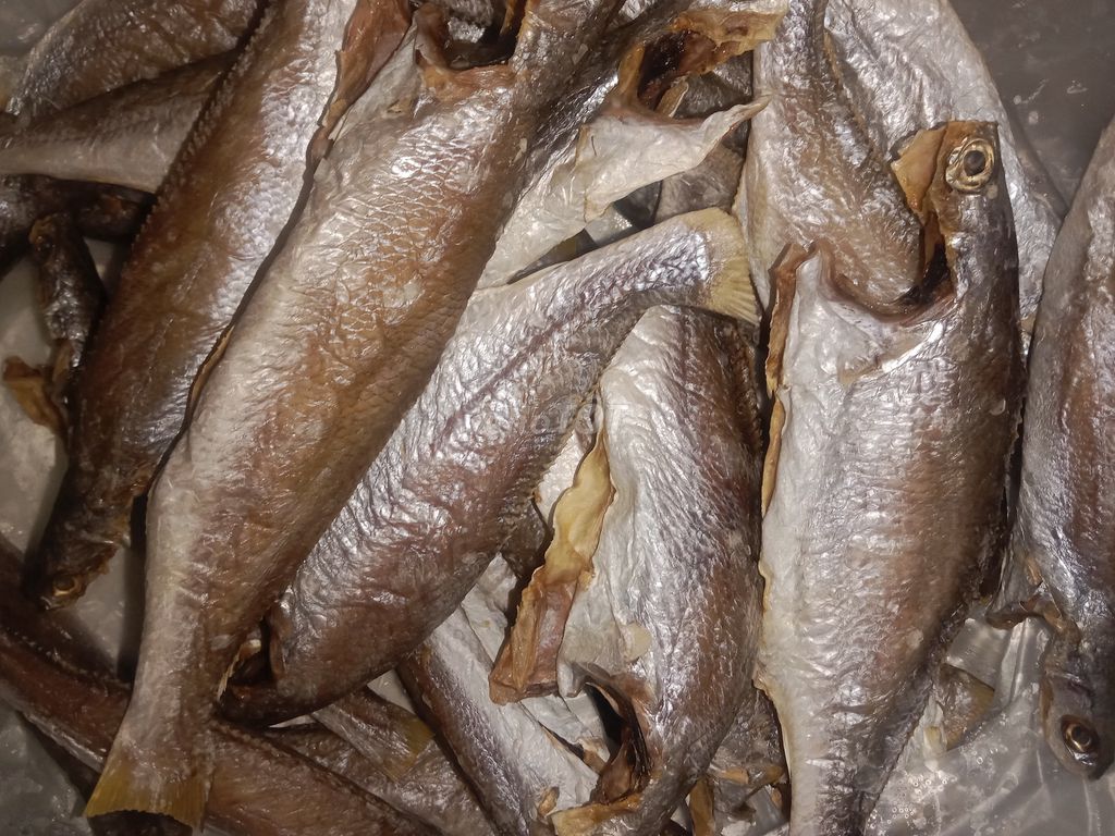 Cá khô hải sản nhà làm. Mua bán Đồ ăn, thực phẩm và các loại khác tại Huyện Nhà Bè Tp Hồ Chí Minh được đăng bởi A chi hình 1