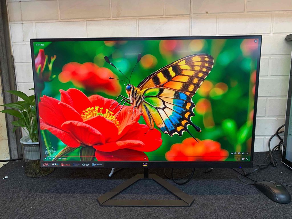 Màn hình ViewSonic 27 inch 2K 170Hz Full Box. Mua bán Phụ kiện (Màn hình, Chuột...) tại Quận Phú Nhuận Tp Hồ Chí Minh được đăng bởi tiến tài 770 nguyễn kiệm p4 quận phú nhuận hình 1
