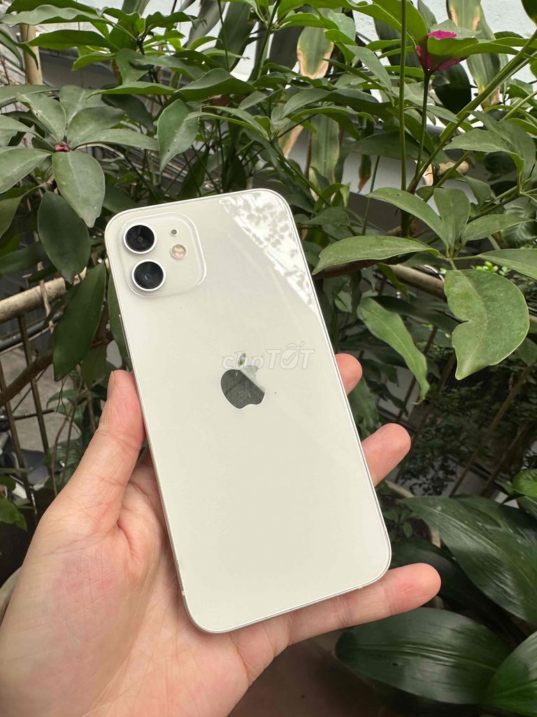 Iphone 12 thường 64g qte mĩ zin keng Giá Rẻ