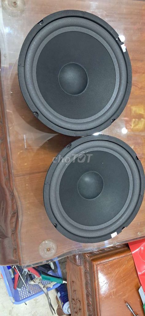 Loa full 2 bass 25cm