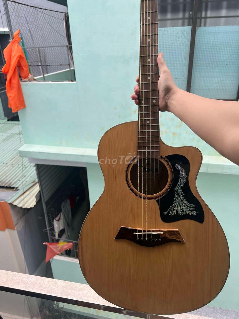 Pass Đàn Guitar classic