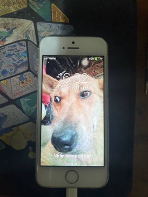 Bán Iphone 5s giá rẻ (giá cả có thể thương lượng). Mua bán Điện thoại tại Huyện Đông Anh Hà Nội được đăng bởi Dat Ba
