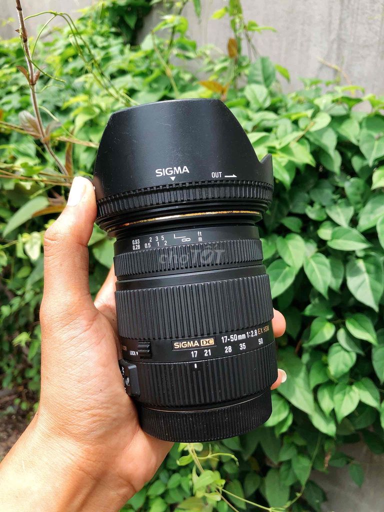 ống kính đa dụng sigma 17 50 f2.8 đẹp