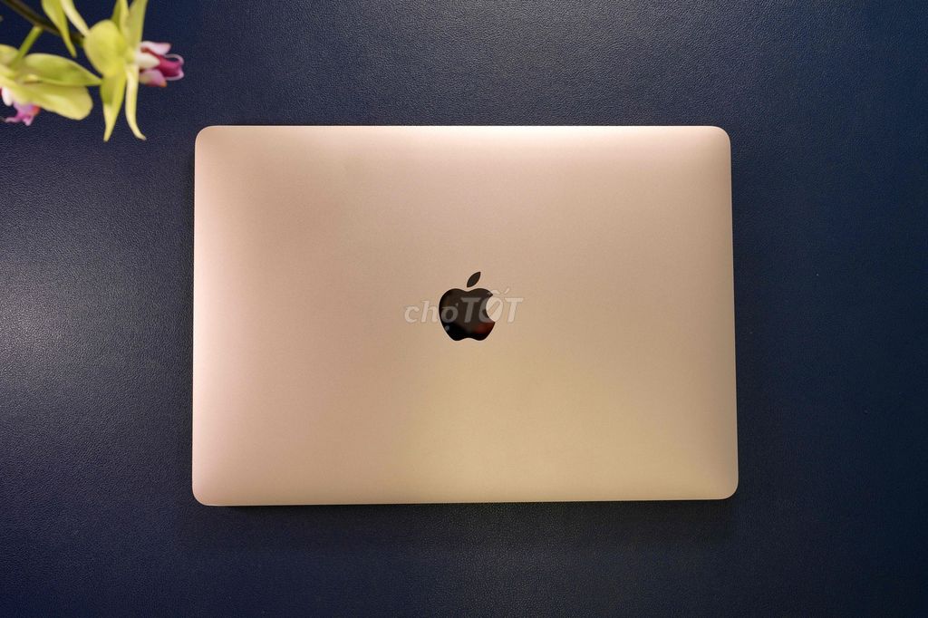 Apple MacBook Air M1 8GB/256GB. Mua bán Laptop tại Quận 1 Tp Hồ Chí Minh được đăng bởi Nguyễn Đức Minh hình 1
