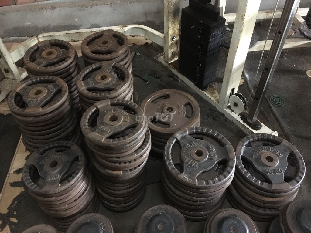 Tạ tập gym gang nâu. Mua bán Đồ thể thao, Dã ngoại tại Quận 5 Tp Hồ Chí Minh được đăng bởi Hải hình 1