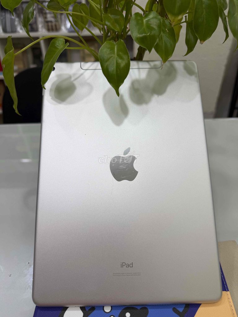 Apple iPad Air 3 Wifi/4G 10.5 inch Bạc 64G. Mua bán Máy tính bảng tại Quận 3 Tp Hồ Chí Minh được đăng bởi Xuân Hồ hình 1