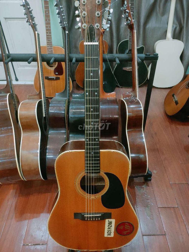 Guitar acoustic Greco F120