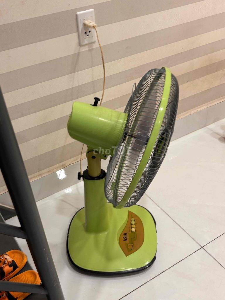 Quạt đứng Asia Xanh lá Đã sử dụng. Mua bán Quạt tại Thành phố Vũng Tàu Bà Rịa - Vũng Tàu được đăng bởi Pdiin Panda hình 1