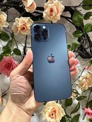 Mình vừa lên đời ip14 thừa bán IP12 PROMAX -256 GB. Mua bán Điện thoại tại Quận Đống Đa Hà Nội được đăng bởi Đoàn Văn Đông