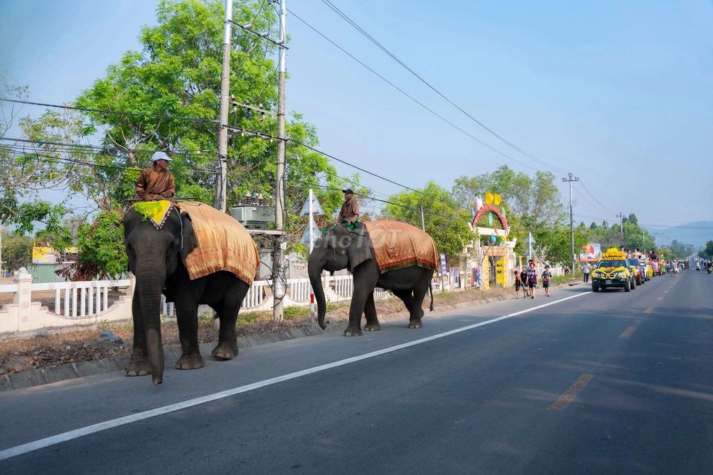 Xe dịch vụ taxi buôn ma thuột xe taxi xanh sm. Dịch vụ tại Thành phố Buôn Ma Thuột Đắk Lắk được đăng bởi Tây Nguyên Taxi hình 1