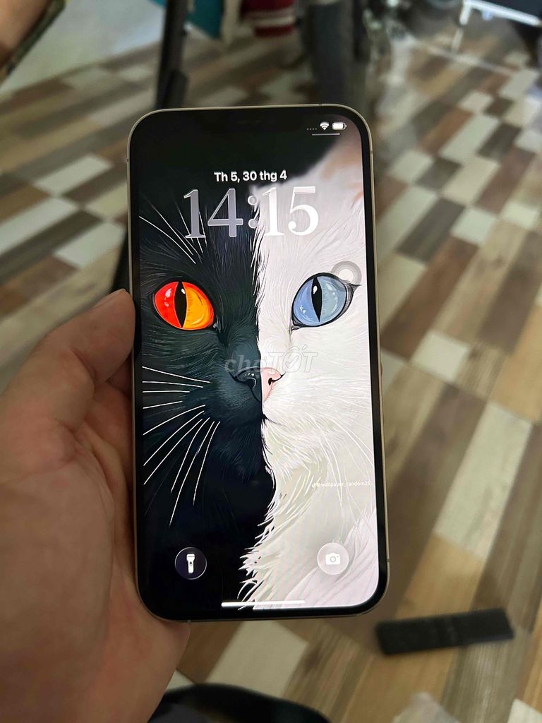 iPhone 12 Pro Max 512GB Trắng. Mua bán Điện thoại tại Thành phố Cam Ranh Khánh Hòa được đăng bởi thái hình 1