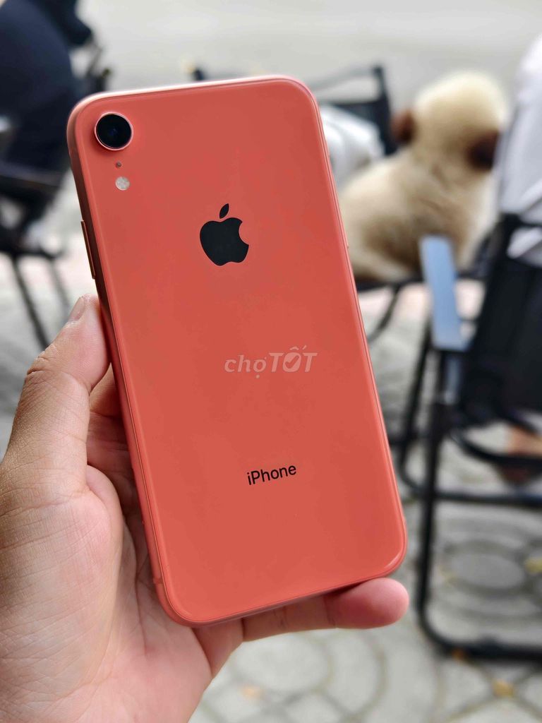 Apple iPhone XR 64GB Cam 99%. Mua bán Điện thoại tại Thành phố Bạc Liêu Bạc Liêu được đăng bởi Nguyễn Hưng Thịnh hình 1