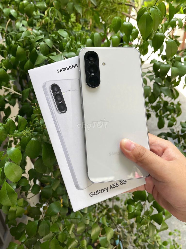 Samsung A56 Trắng 8.128 VN BH T04.2027. Mua bán Điện thoại tại Quận Tân Bình Tp Hồ Chí Minh được đăng bởi Đăng Khoa Store hình 1