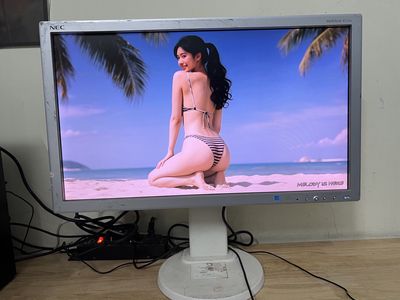 Màn hình NEC 23 inch Trắng, xoay dọc được. Mua bán Phụ kiện (Màn hình, Chuột...) tại Quận Tây Hồ Hà Nội được đăng bởi MayTinhGiaReHaNoi