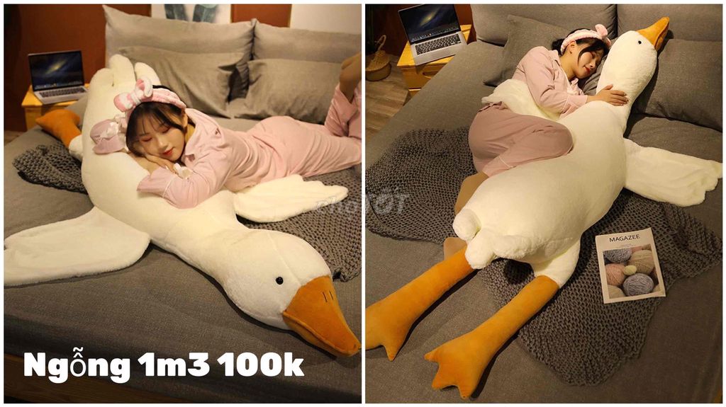 Gối ôm Vải bông Trắng 1m3 Unisex. Mua bán Giường, chăn ga gối nệm tại Huyện Thanh Trì Hà Nội được đăng bởi Kiều Trang Nguyễn hình 1