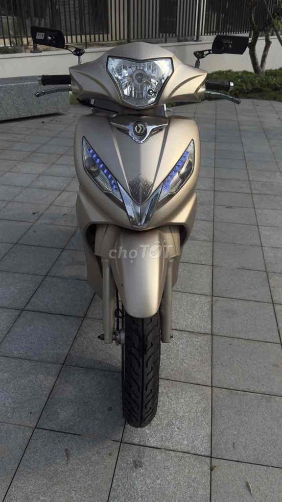 SYM Shark 170cc, золотистый