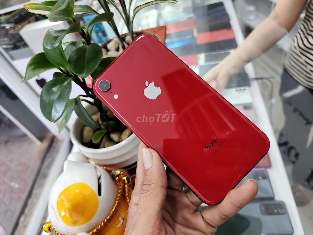 iPhone XR 128GB quốc tế zin full (bh 1 tháng). Mua bán Điện thoại tại Quận Ninh Kiều Cần Thơ được đăng bởi Huy hình 1