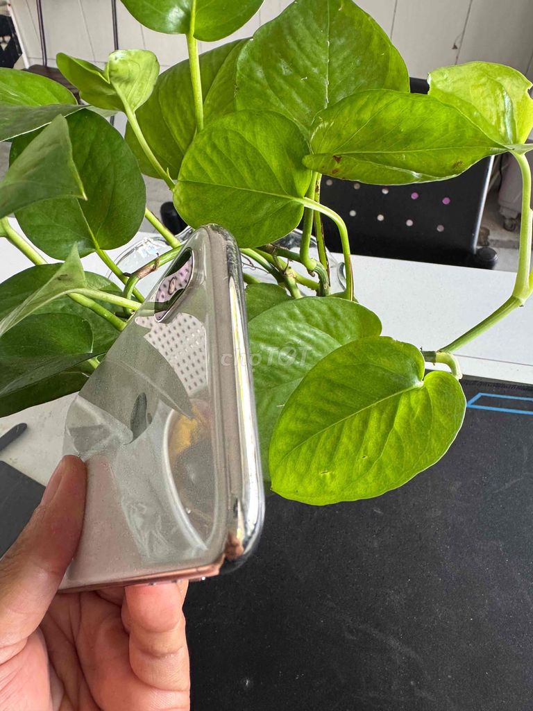 iPhone X ZIN Full CN. Máy VN. Mua bán Điện thoại tại Quận Ninh Kiều Cần Thơ được đăng bởi phan Nhân  hình 1