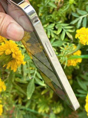 iphone 12 pro máy zin nguyên bản chưa sửa chữa. Mua bán Điện thoại tại Huyện Thoại Sơn An Giang được đăng bởi Trần Chế Thanh