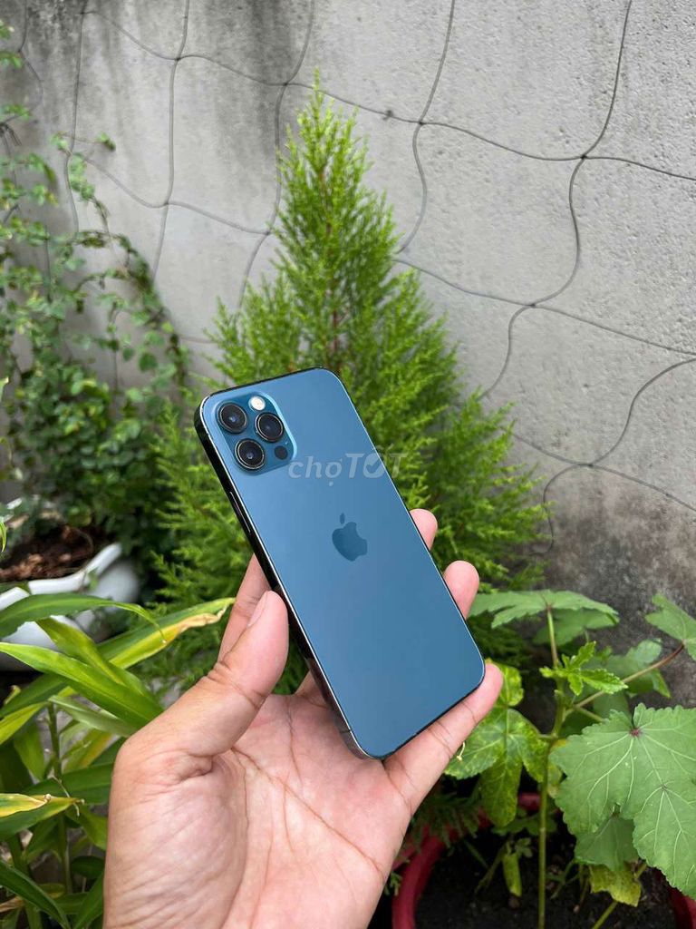 Apple iPhone 12 Pro 128GB Xanh Đã sử dụng. Mua bán Điện thoại tại Thành phố Biên Hòa Đồng Nai được đăng bởi trần bảo kha hình 1