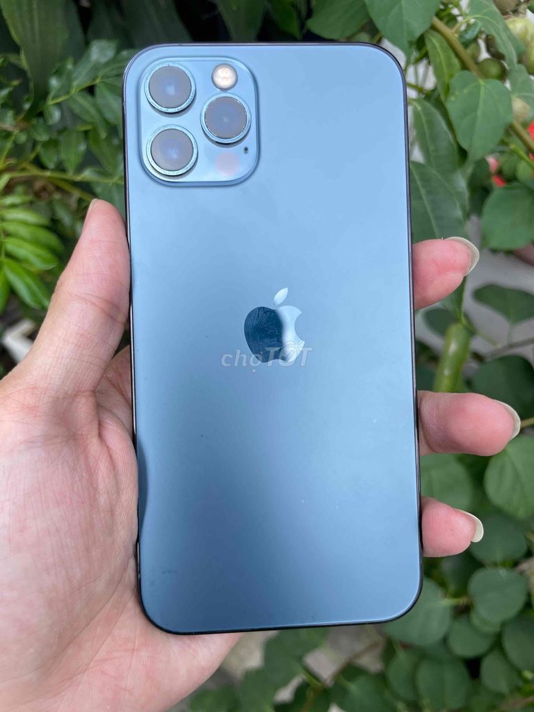 iPhone Pro 12 256GB Xanh Đẹp. Mua bán Điện thoại tại Quận Tân Bình Tp Hồ Chí Minh được đăng bởi Trần Gia Hưng hình 1