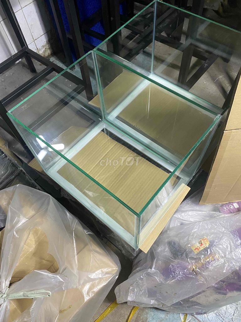 Bể cá Kính Mới. Mua bán Phụ kiện, Thức ăn, Dịch vụ tại Quận 8 Tp Hồ Chí Minh được đăng bởi Hiệp Hoàn hình 1