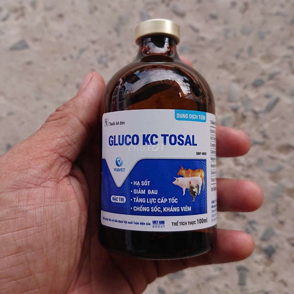 Hồi sức cấp tốc Gluco KC Tosal dùng tròn chăn nuôi