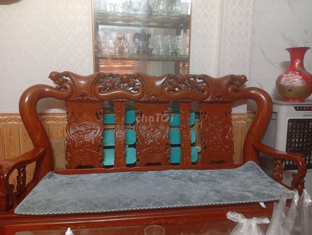 Chim Đào size 15. Mua bán Chim tại Quận Đống Đa Hà Nội được đăng bởi Hongha Le hình 1
