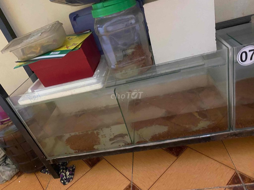 Bể cá kính 75x32x24cm 5ly. Mua bán Phụ kiện, Thức ăn, Dịch vụ tại Quận Phú Nhuận Tp Hồ Chí Minh được đăng bởi dien thoai nguoi dung hình 1