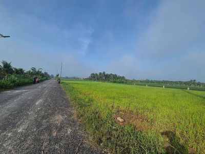 Kẹt tiền cần bán gấp đất lúa giá rẻ 550 triệu 1437m2. Mua bán đất tại Huyện Gò Công Tây Tiền Giang được đăng bởi Trần Thị Như Trúc