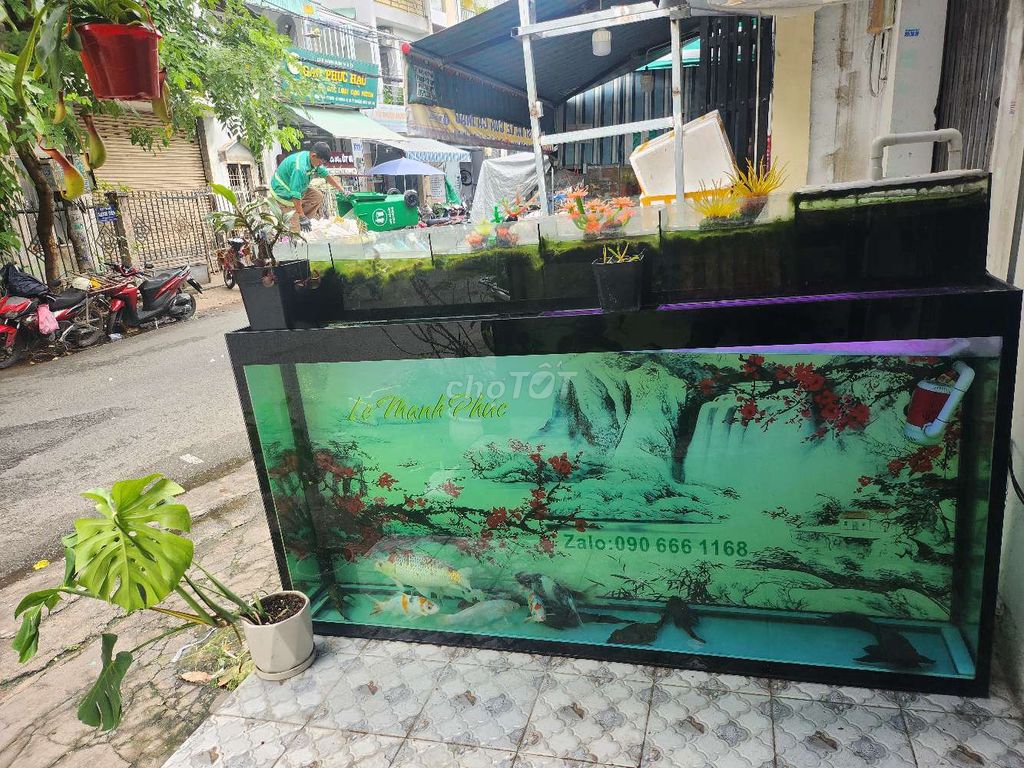 Cá Koi 30-40cm. Mua bán Thú cưng khác tại Quận Bình Tân Tp Hồ Chí Minh được đăng bởi Lê Mạnh Phúc hình 1
