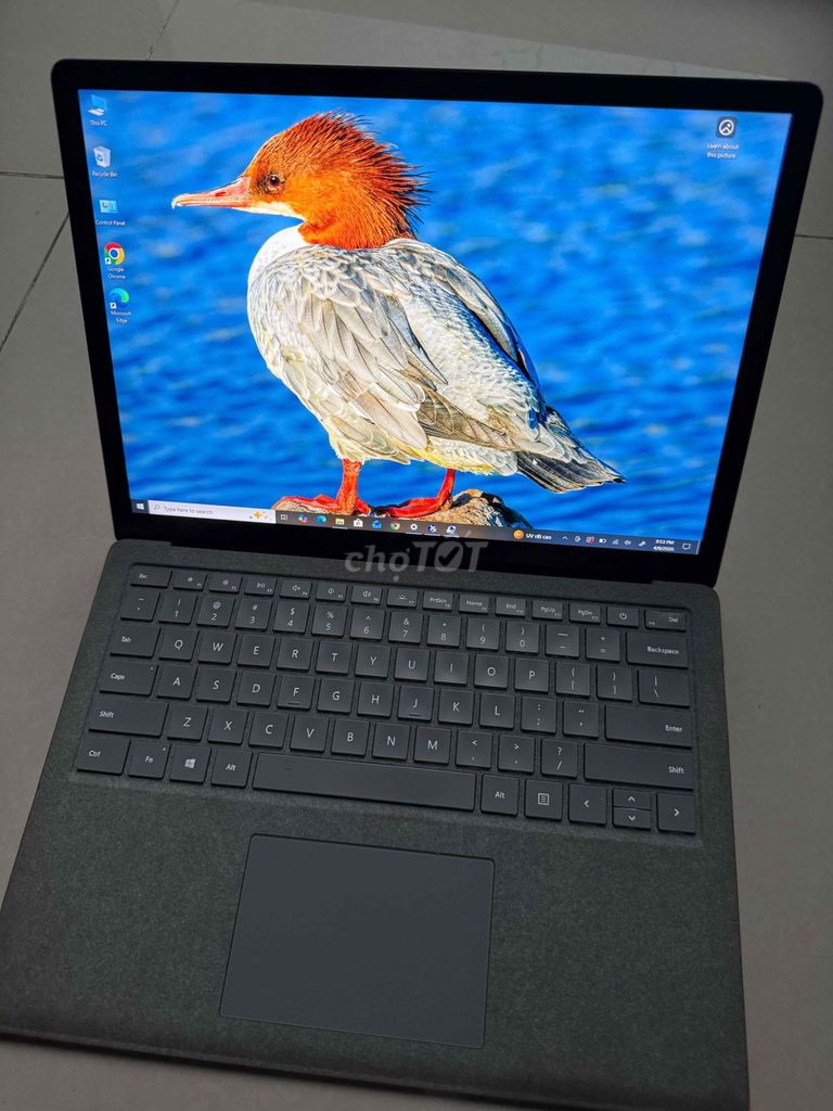 Surface Laptop 2 I7-8650U 16/512 Màn 2K xài ko lỗi. Mua bán Laptop tại Quận Gò Vấp Tp Hồ Chí Minh được đăng bởi VũHùng hình 1