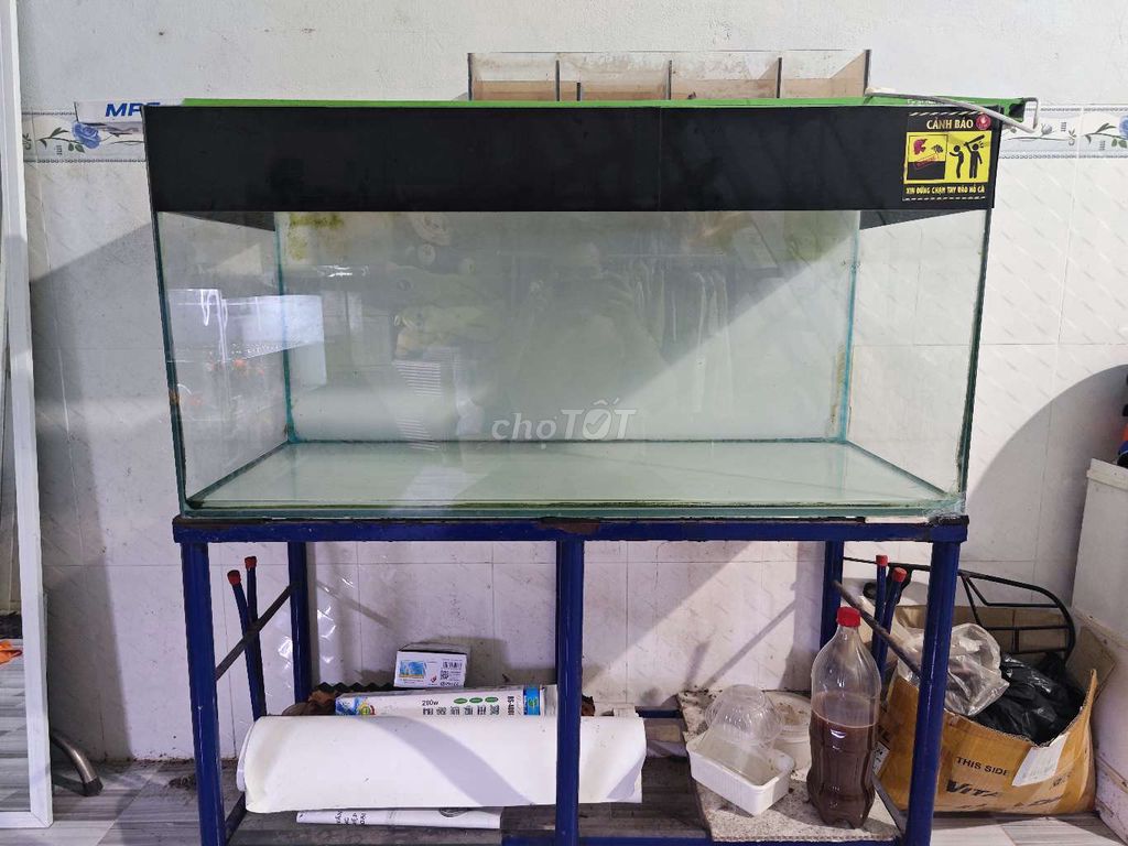 Thanh lý bộ hồ cá 1mx40x50, phụ kiện...