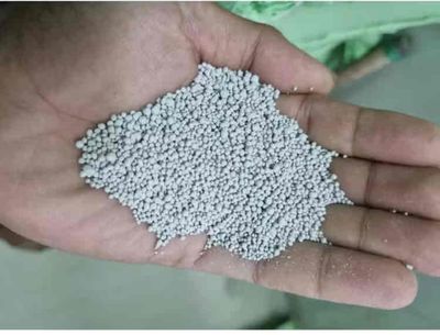 Cát vệ sinh mèo đất sét